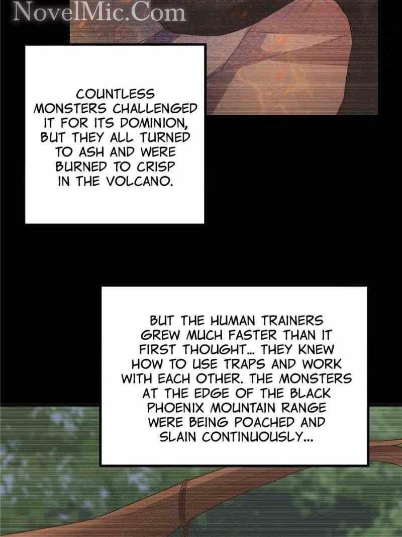 Monster Pet Evolution Chapter 219 - Page 13