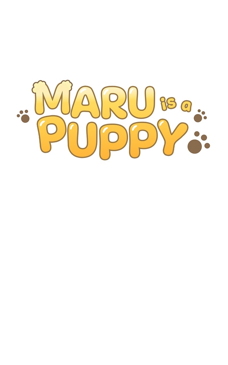 Maru is a Puppy Chapter 16 - Page 11